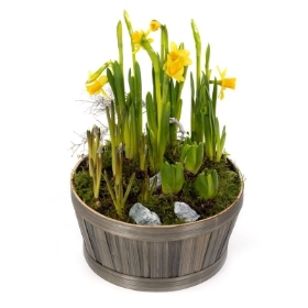 Spring Planter